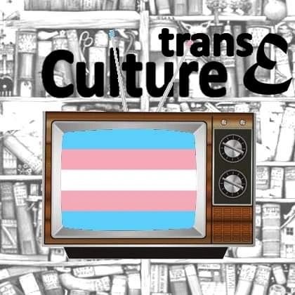 Pluriel Gay- TransE Culture