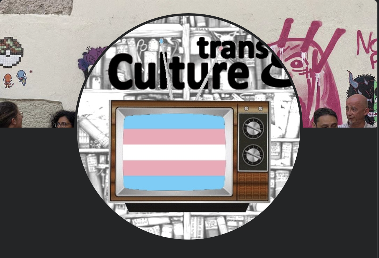 Pluriel Gay émission TransE Culture